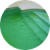 Algues-Eau-Verte