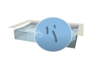 bacteries-collectivite_SideText