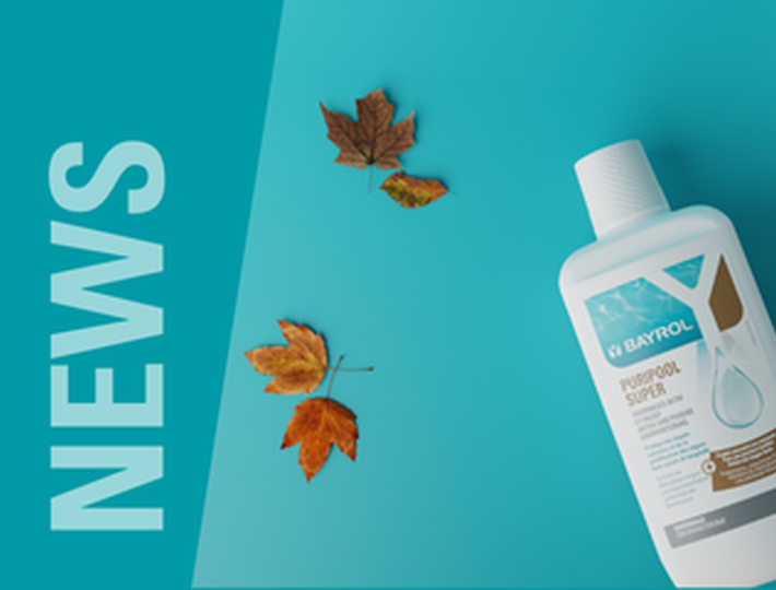 Hiverdays_News