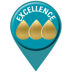 excellence